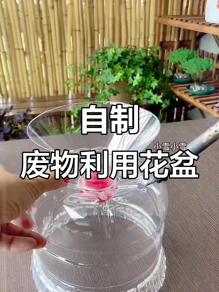废瓶子变花盆，简单步骤教你DIY种菜盆