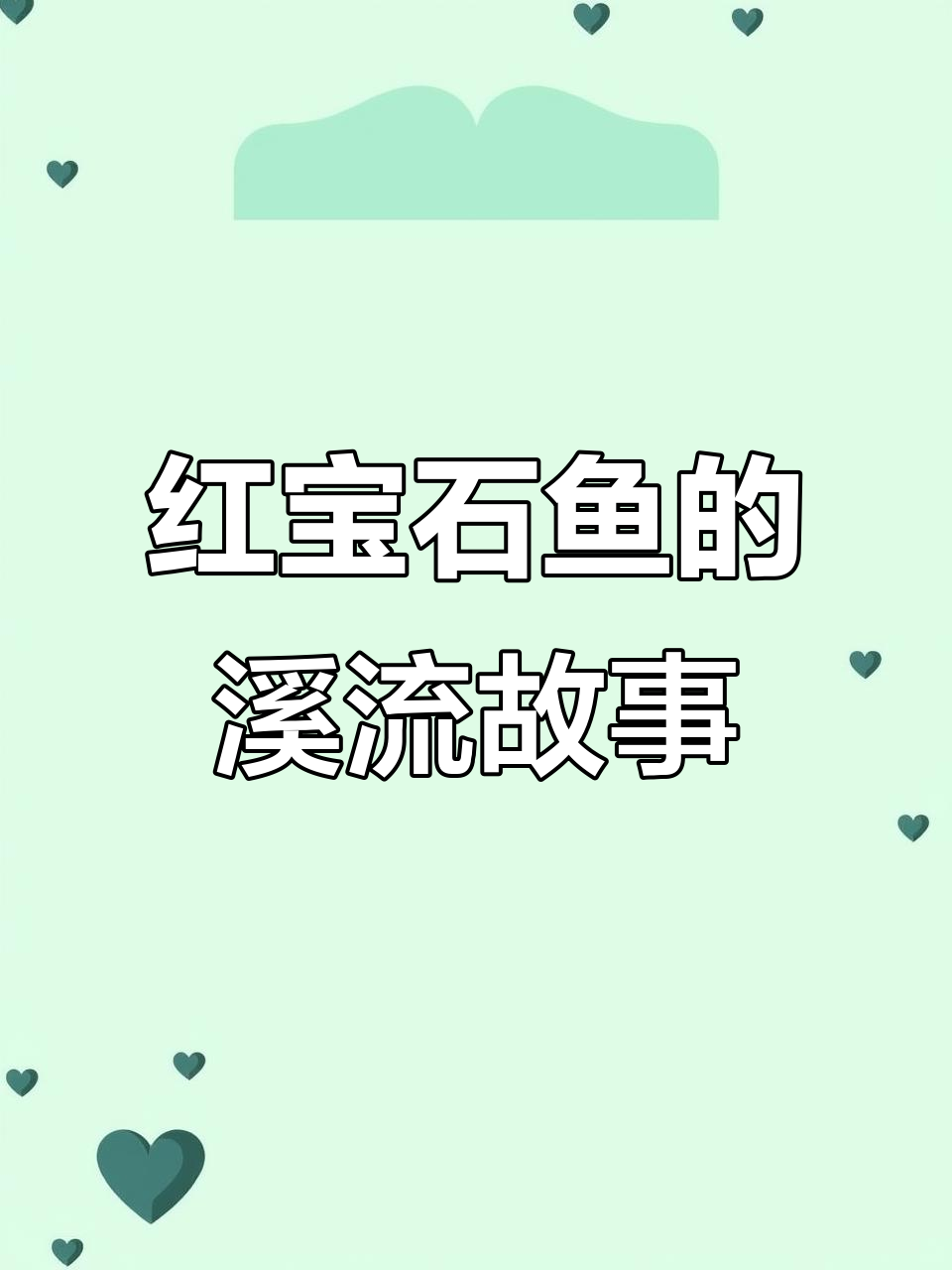 广东溪流中的美丽入侵鱼，红宝石公母配对守护小鱼