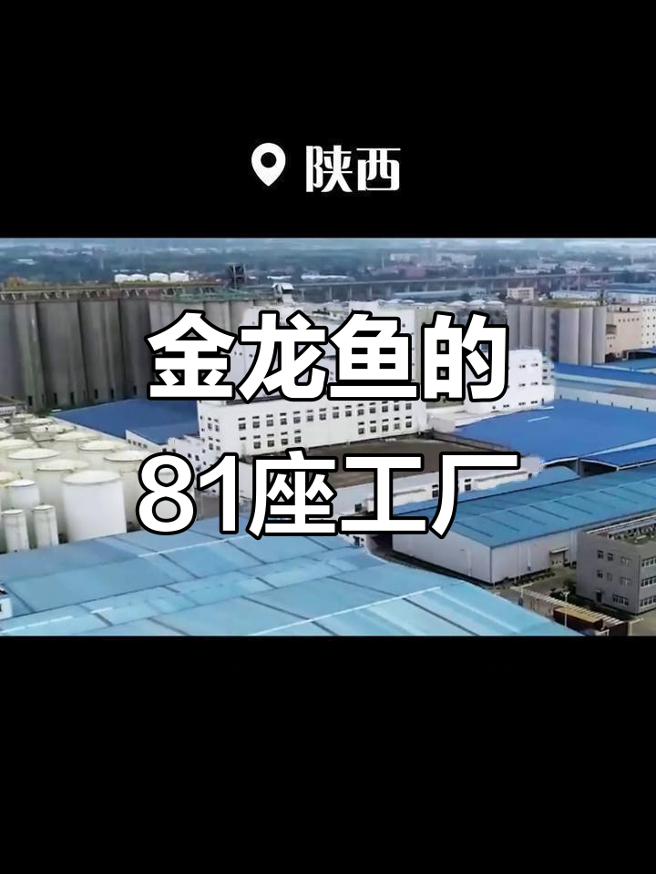 金龙鱼背后的81个生产基地,面粉厂全揭秘
