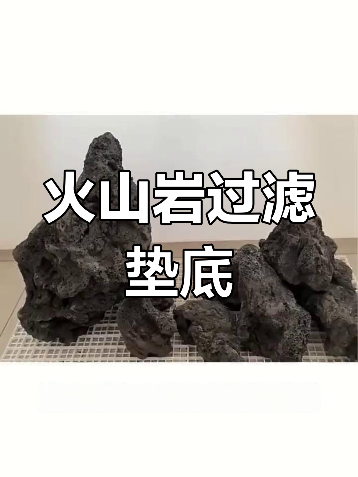黑火山石:鱼缸净水与造景的理想选择