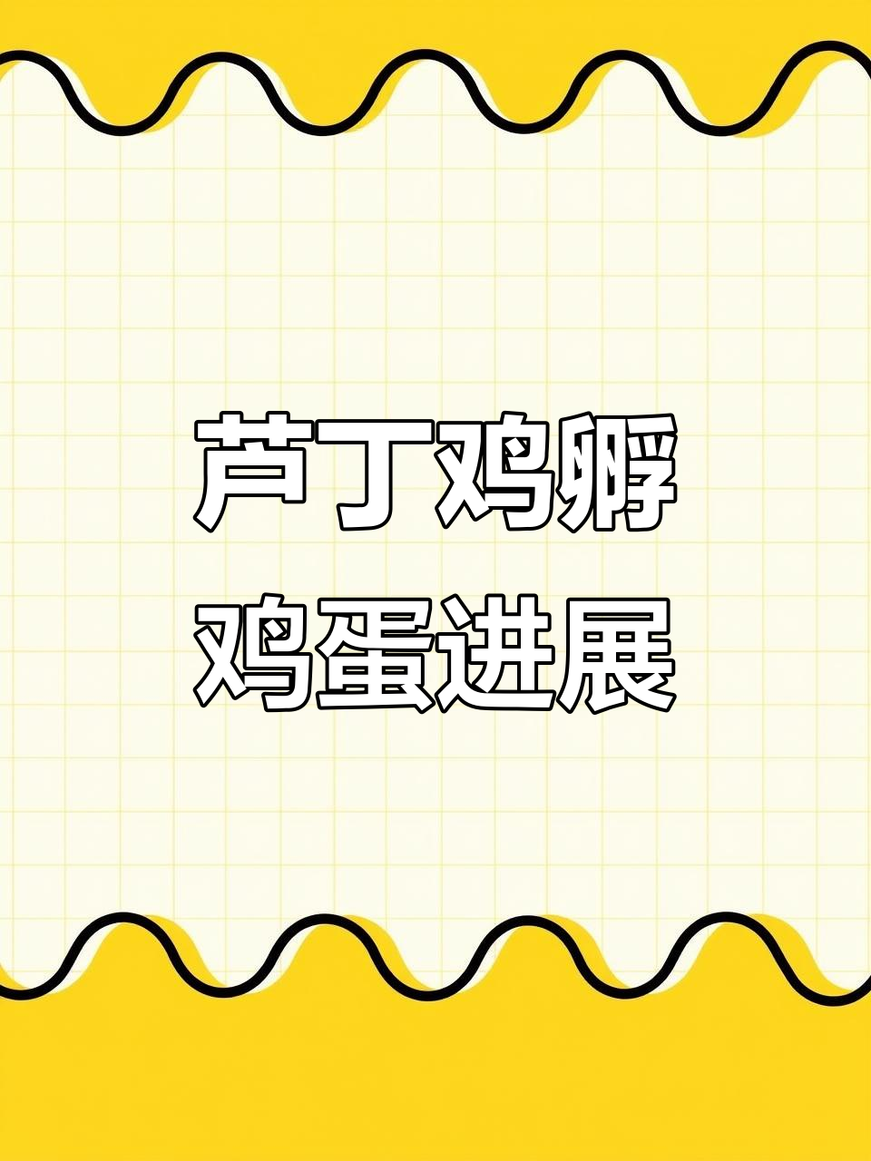 芦丁鸡孵化日记:照蛋看血丝,期待小鸡出生