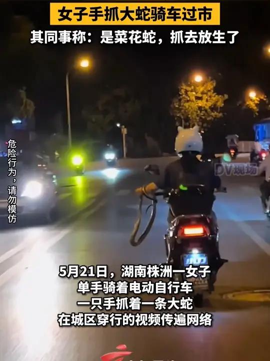 其同事称:是菜花蛇,抓去放生了