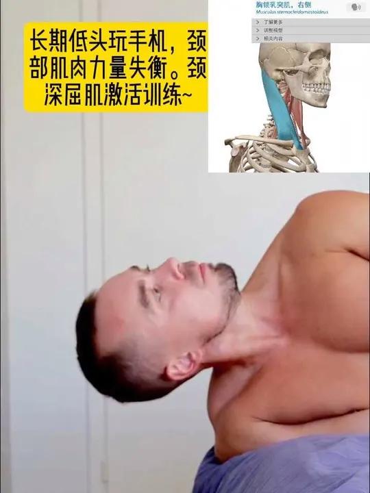 长期低头玩手机,颈部肌肉力量失衡。颈深屈肌激活训练~ 长期低头玩手机,颈部肌肉力量失衡。颈