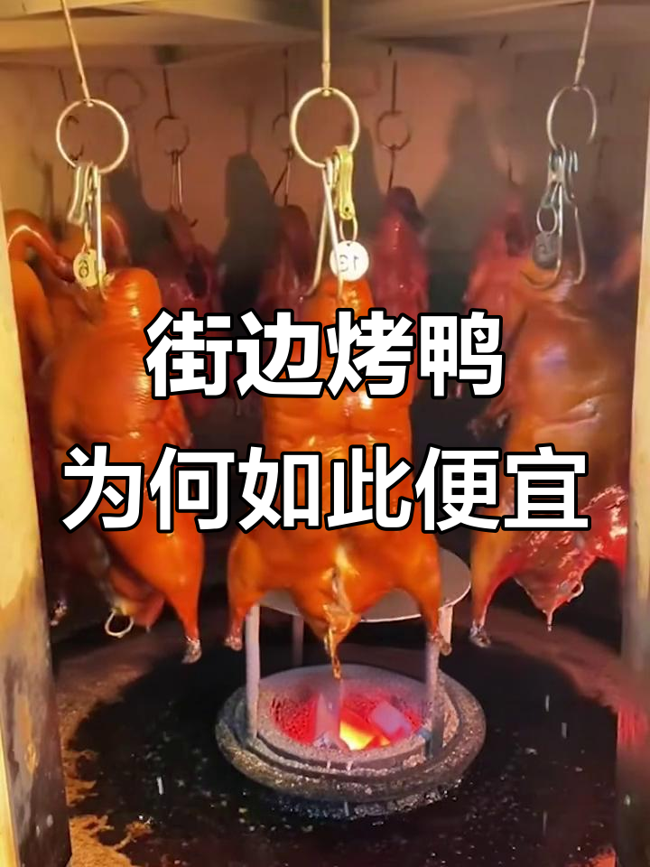为什么街边烤鸭这么便宜?揭秘成本与选材的秘密