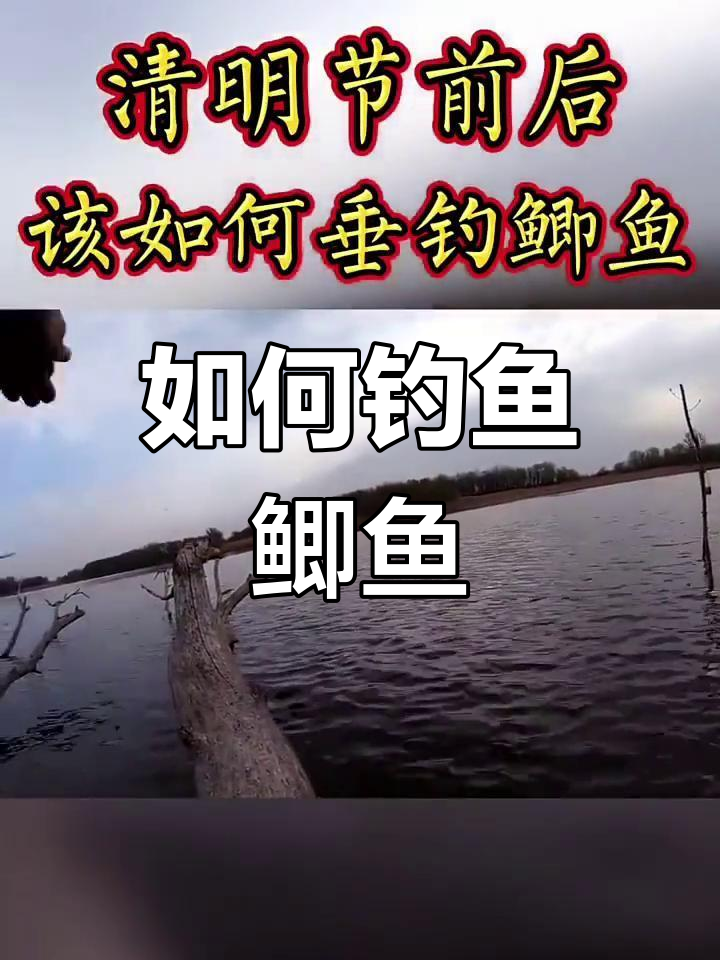 清明节后垂钓鲫鱼技巧