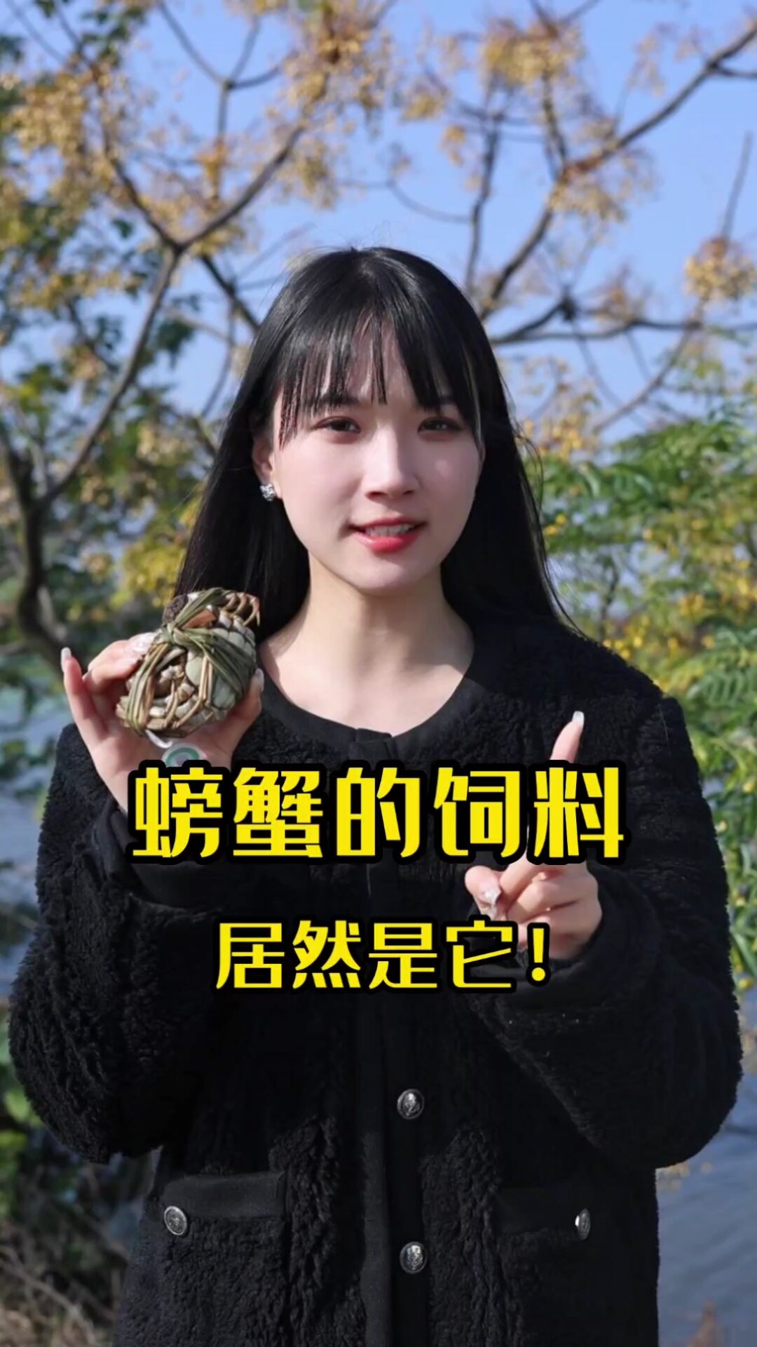 螃蟹到底吃什么长大的?这么多黄?!