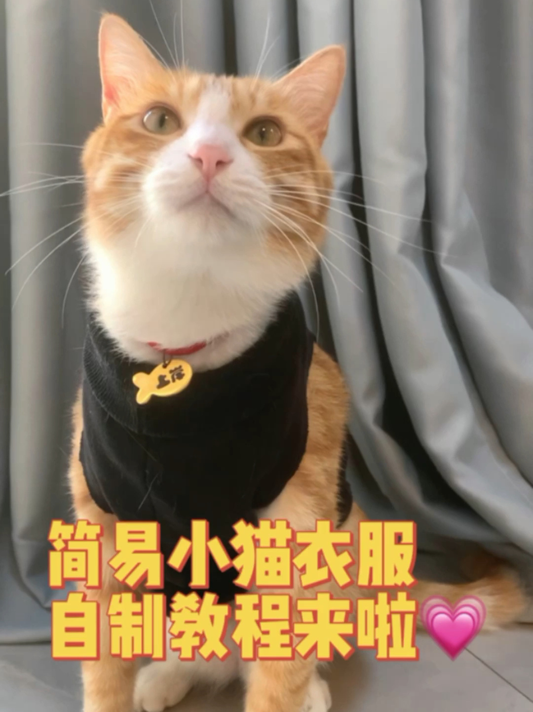 简易小猫衣服自制教程来啦
