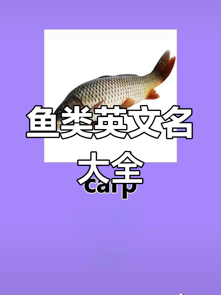 多种鱼类英文名称,涵盖常见与不常见的种类