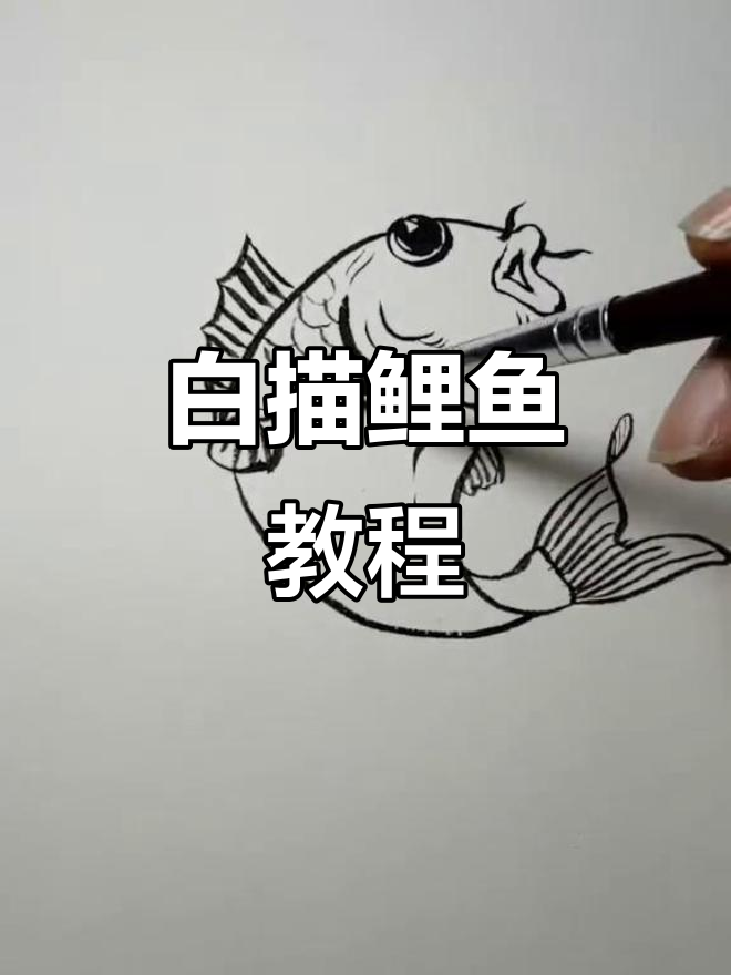 鲤鱼白描技巧入门，轻松掌握线条与结构