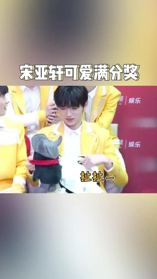 小宋老师真的很喜欢毛绒玩偶呀!跟小企鹅玩得很好～