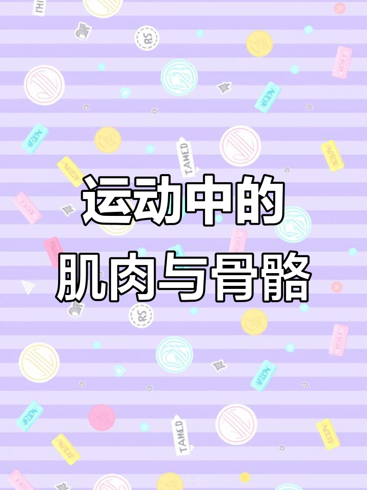 了解肌肉骨骼与运动损伤,学会保护自己