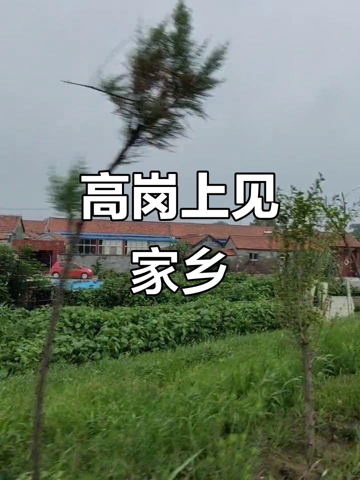 清晨高岗上的乡村生活,羊口老咸菜与小河的美丽邂逅