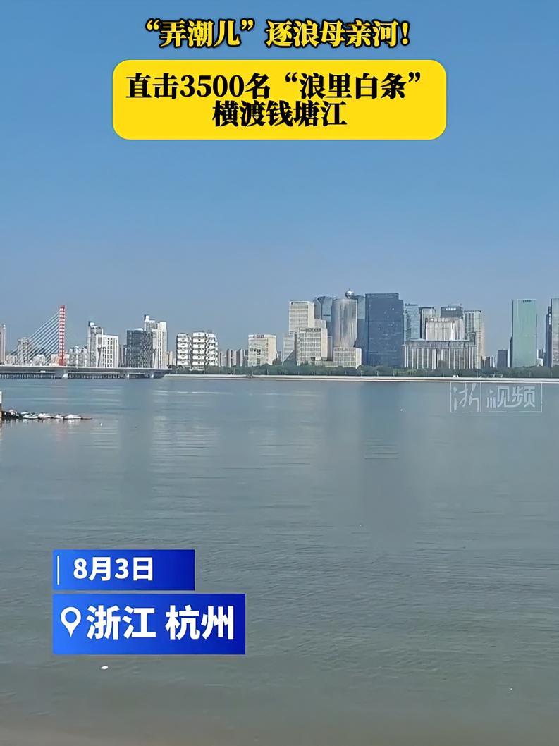 “弄潮儿”逐浪母亲河!直击3500名“浪里白条”横渡钱塘江 千人横渡钱塘江的壮观场面您见过