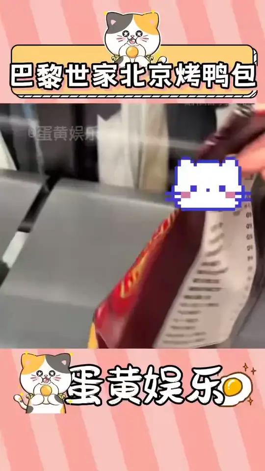 北京烤鸭包
