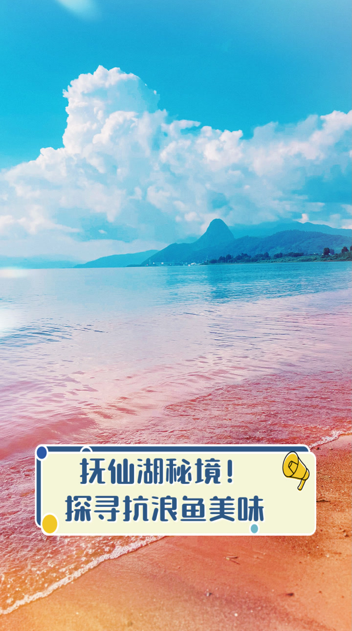 抚仙湖秘境！探寻抗浪鱼美味