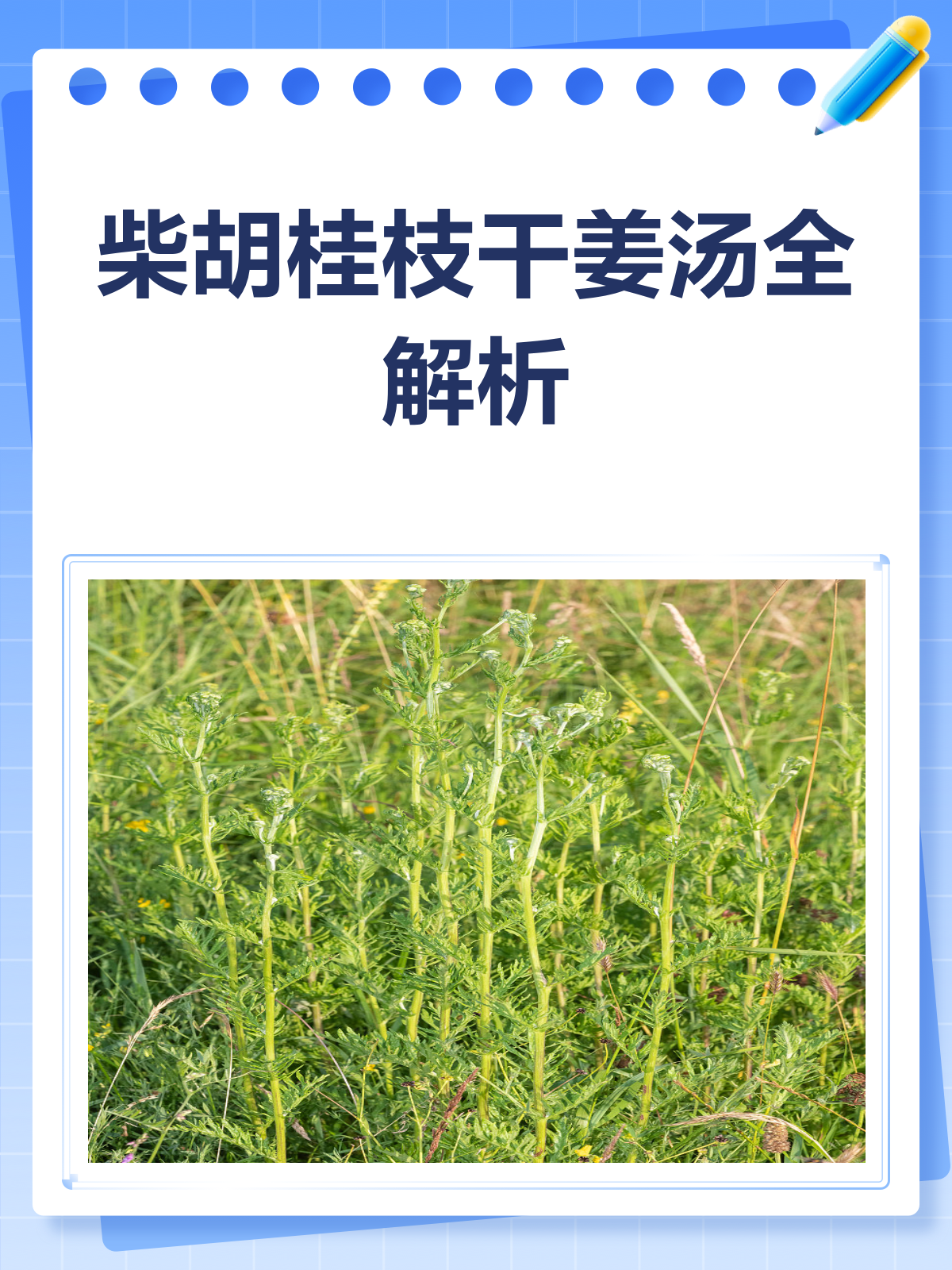 柴胡桂枝干姜汤，一剂多效的中医良方