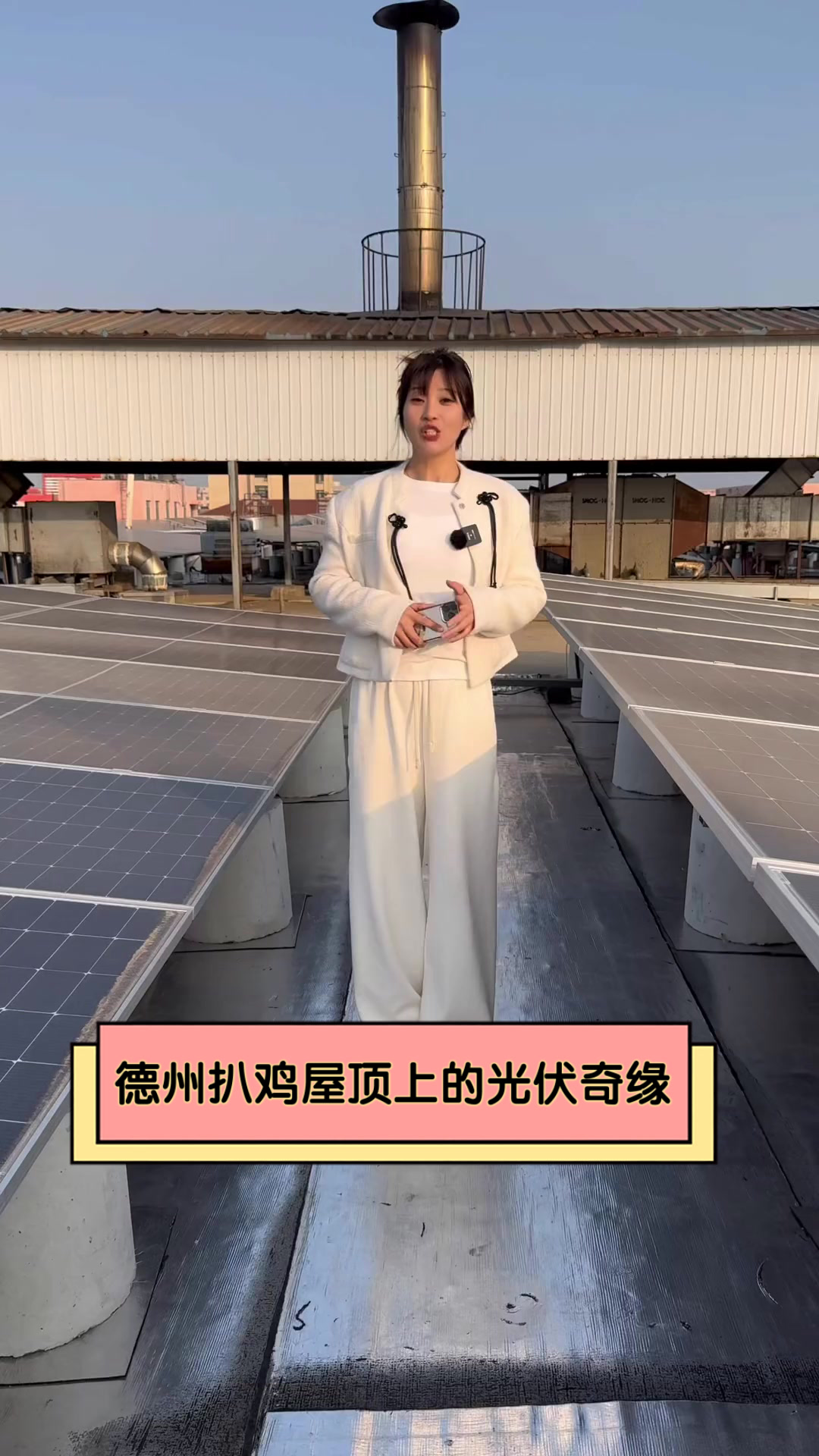 德州扒鸡屋顶上的光伏奇缘