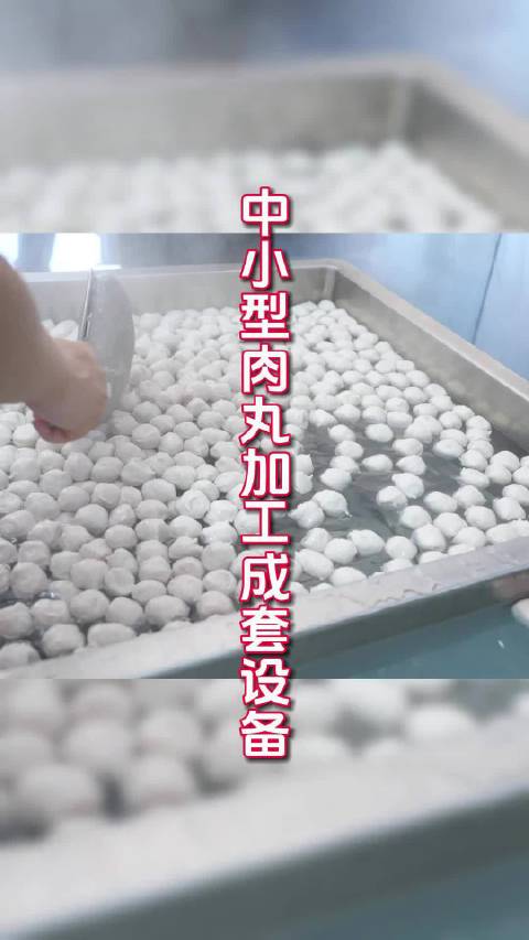中小型肉丸加工成套设备操作视频!42型强力绞肉机|38型三速制冷打浆机|变频双调速肉丸成型