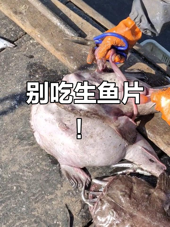 生鱼片有风险，安康鱼的寄生虫让人惊掉下巴