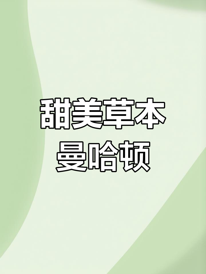 曼哈顿鸡尾酒:草本香料的完美融合
