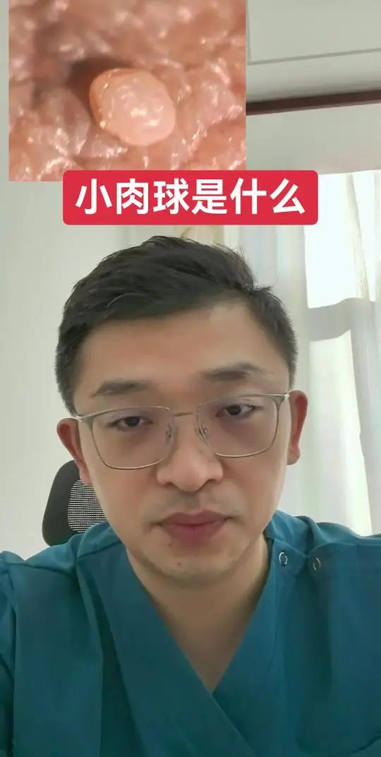 小肉球是什么