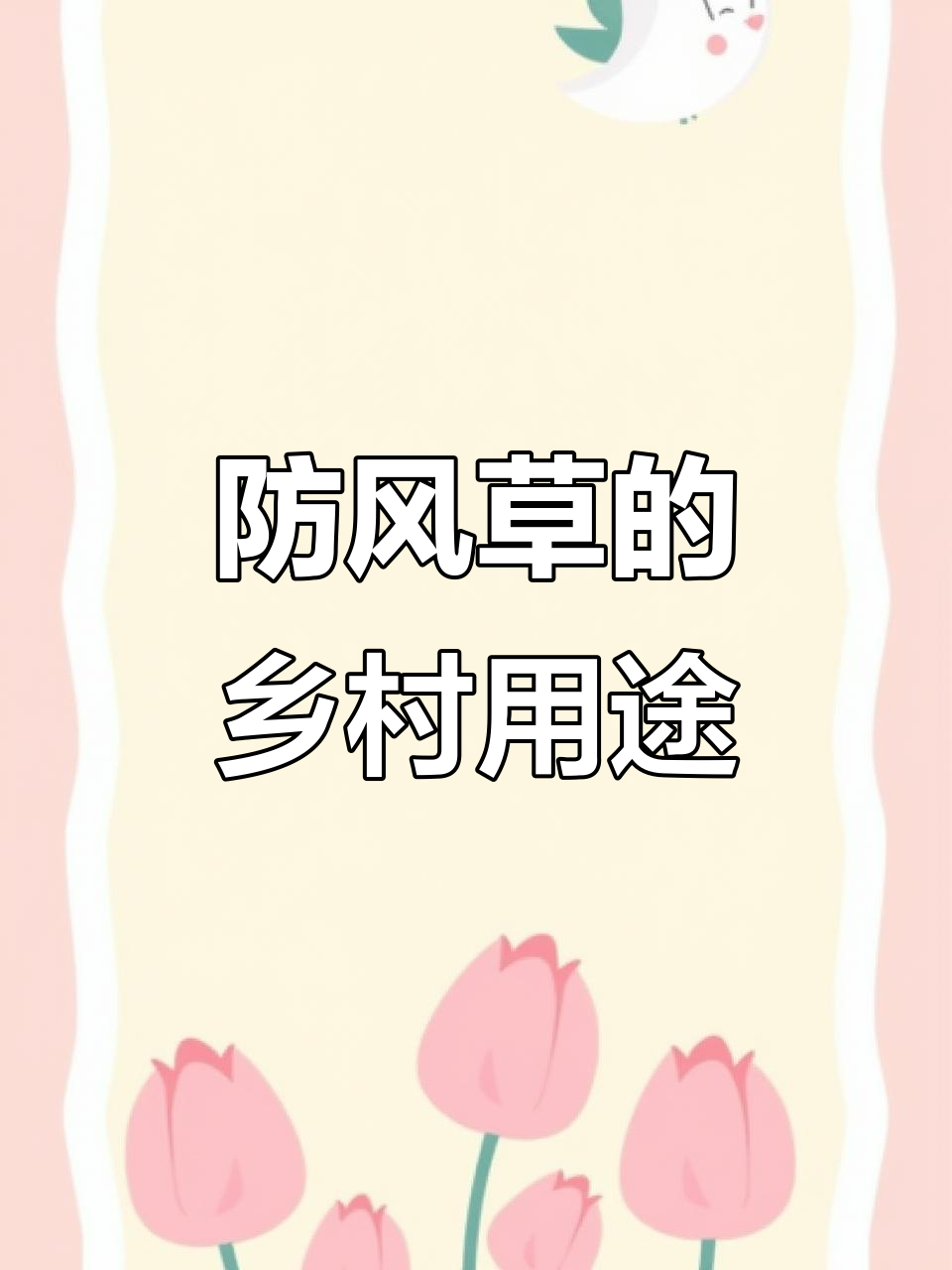 防风草:农村常用来垫窝的奇特植物,气味独特