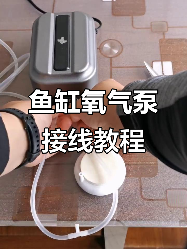 如何正确安装鱼缸氧气泵？避免回流和断电问题