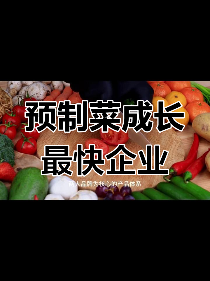 预制菜行业增长最快的10家企业