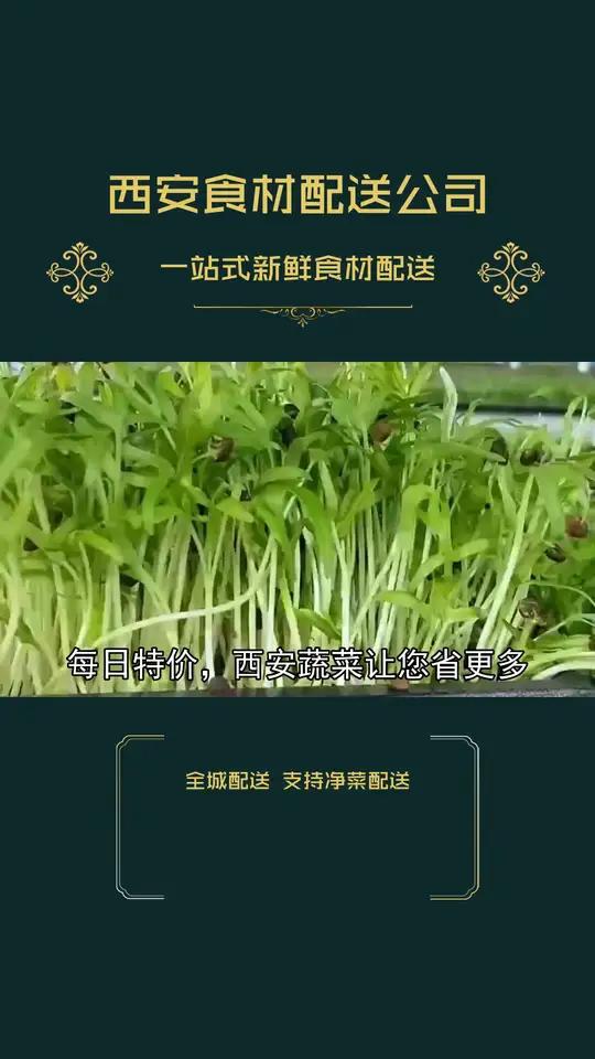 定制专享酒店餐饮食材重塑西安食材供应新生态,满足您对食材的所有期待,怎样让食材采购全程无忧