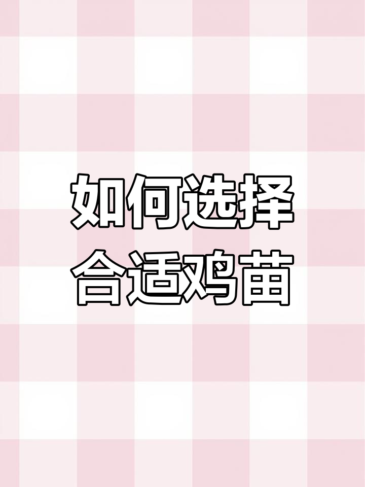 这么多可爱鸡苗，到底选哪种好？