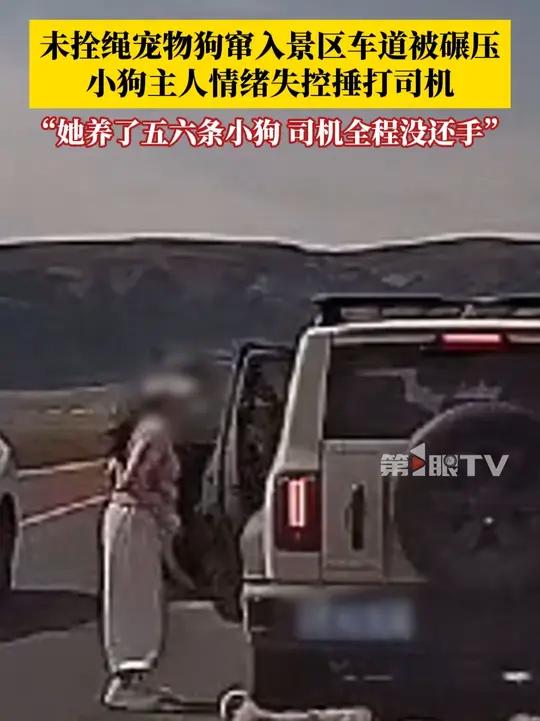 8月8日,新疆赛里木湖景区。未拴绳宠物狗窜入行车道被碾压,小狗主人情绪失控捶打司机。目击者