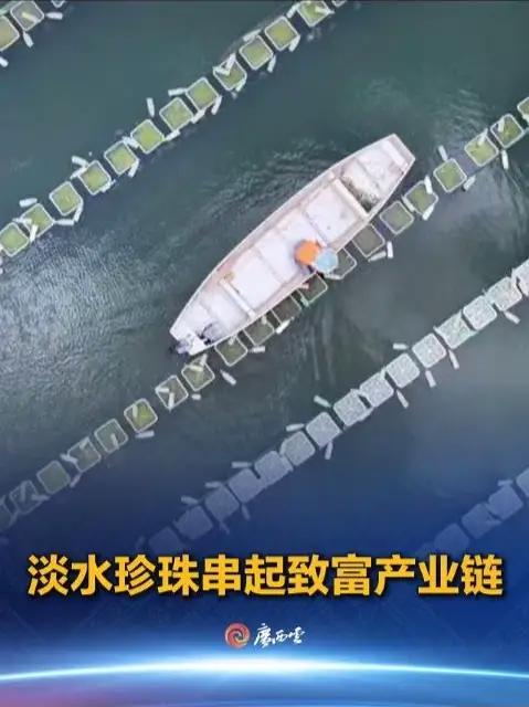 钦州市钦北区拥有丰富的淡水资源,水域面积约5万亩,其中有80多座可用于开展淡水珍珠养殖的水