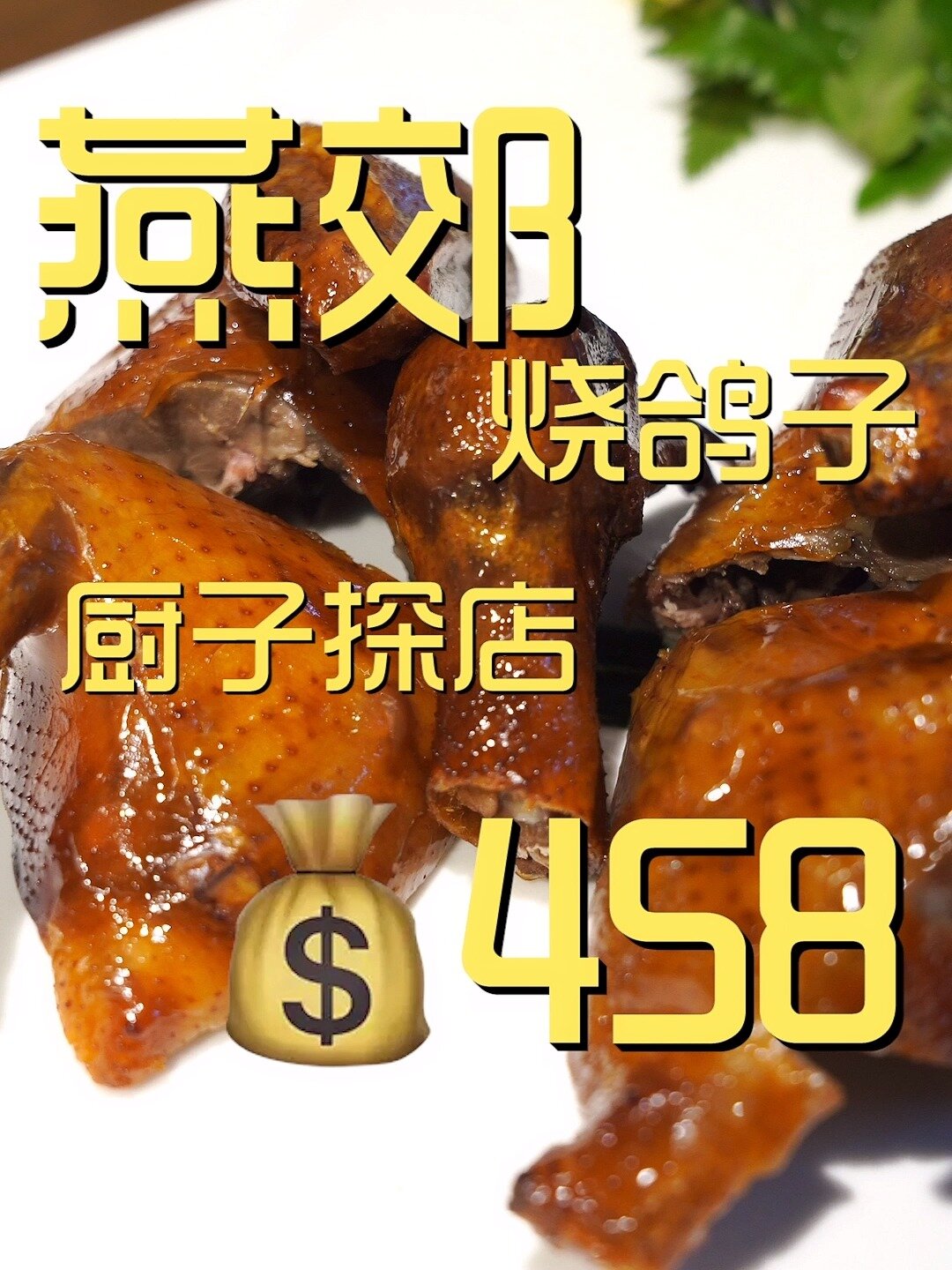 燕郊烧鸽子厨子探店458