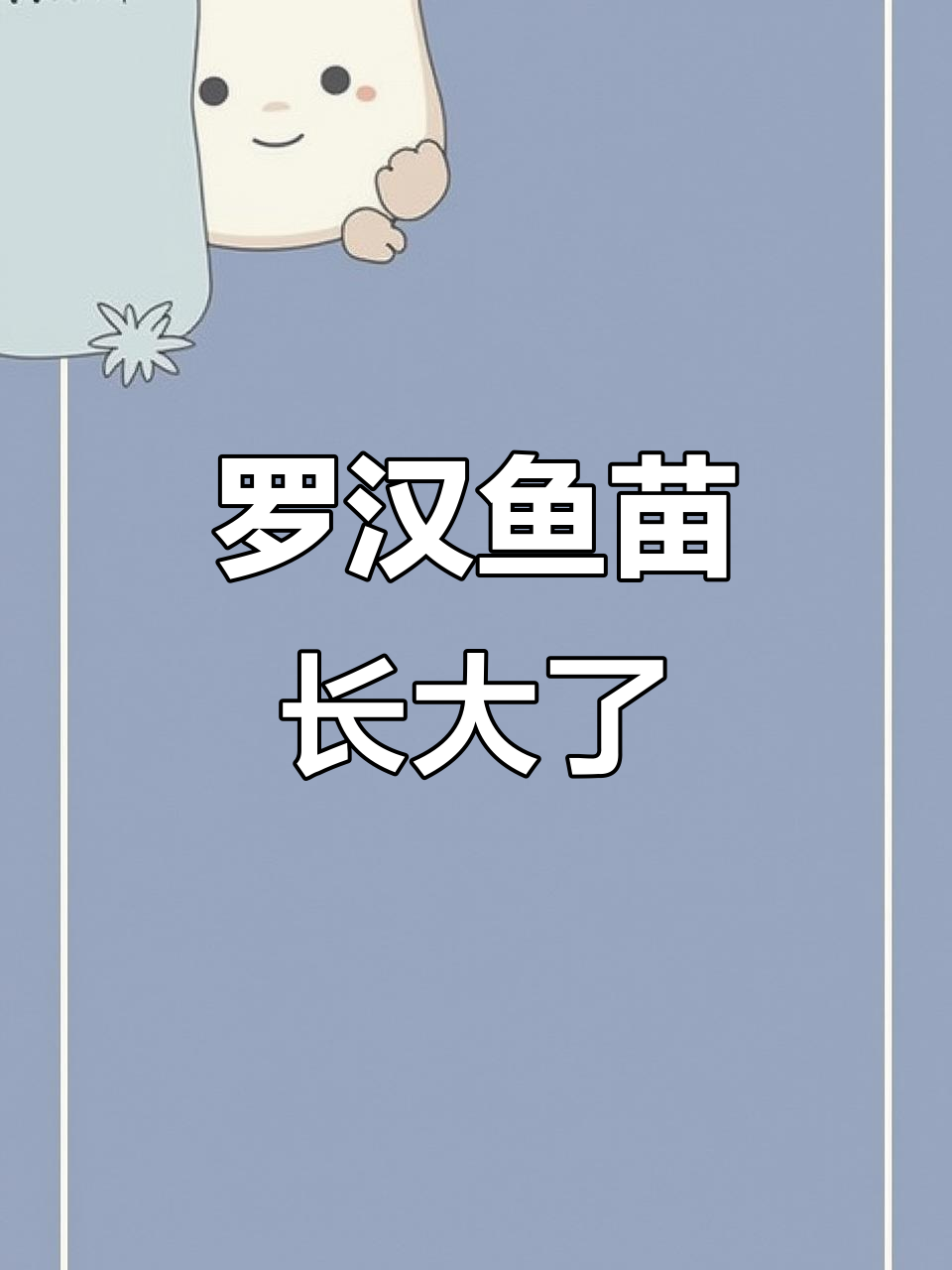 金花罗汉鱼苗成长记，大水头变大了还得了！