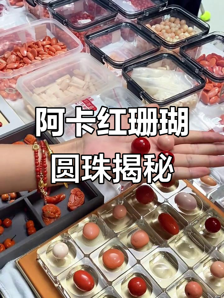 10万一颗的阿卡珊瑚珠,直径18.4毫米,稀有又昂贵