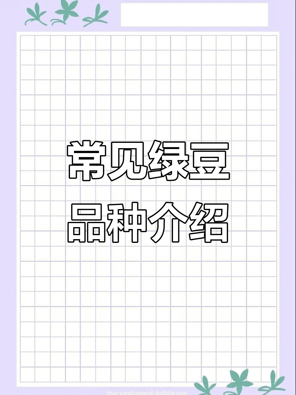 常见绿豆品种大揭秘,各地特色一览