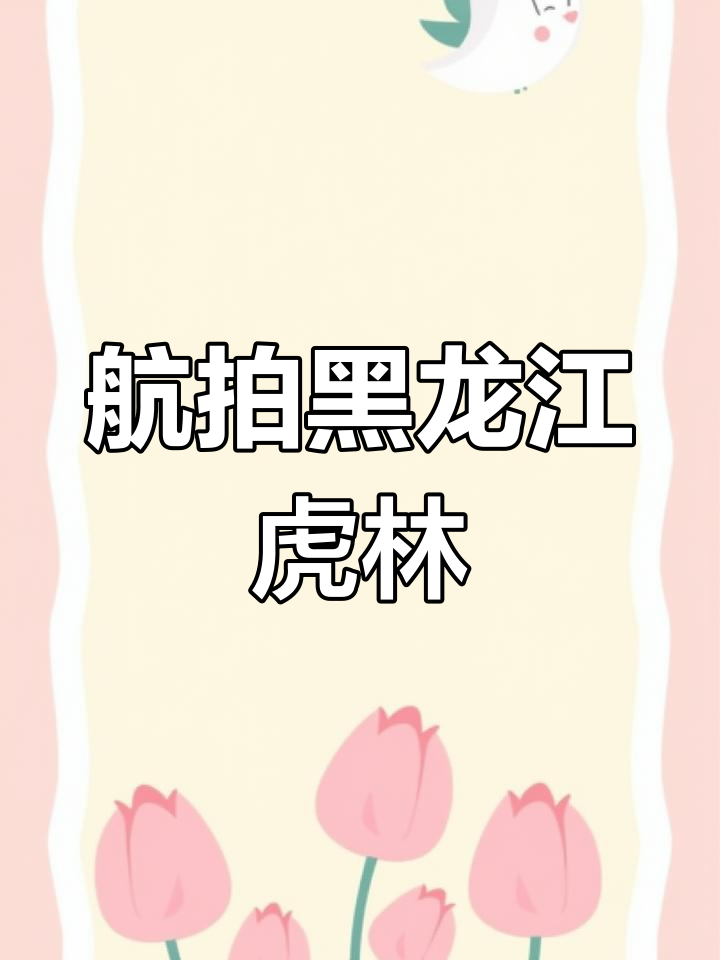 航拍黑龙江鸡西虎林市,探访边境风情与自然美景