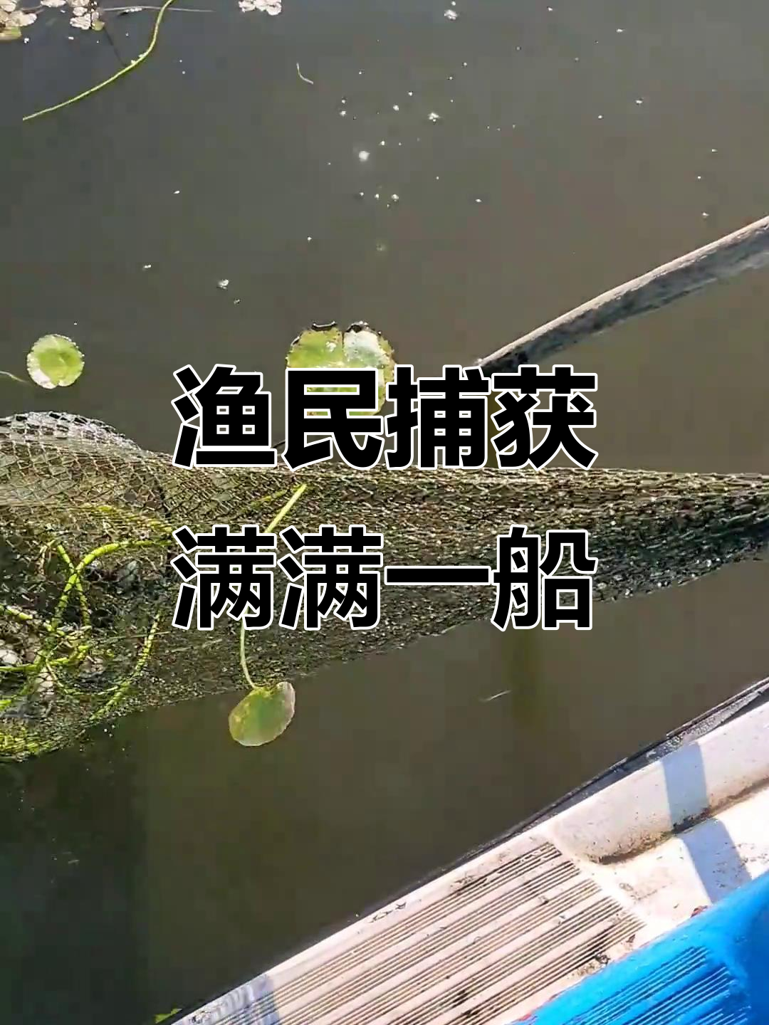 渔民捕鱼大丰收，草缠网中惊现多条老鱼！