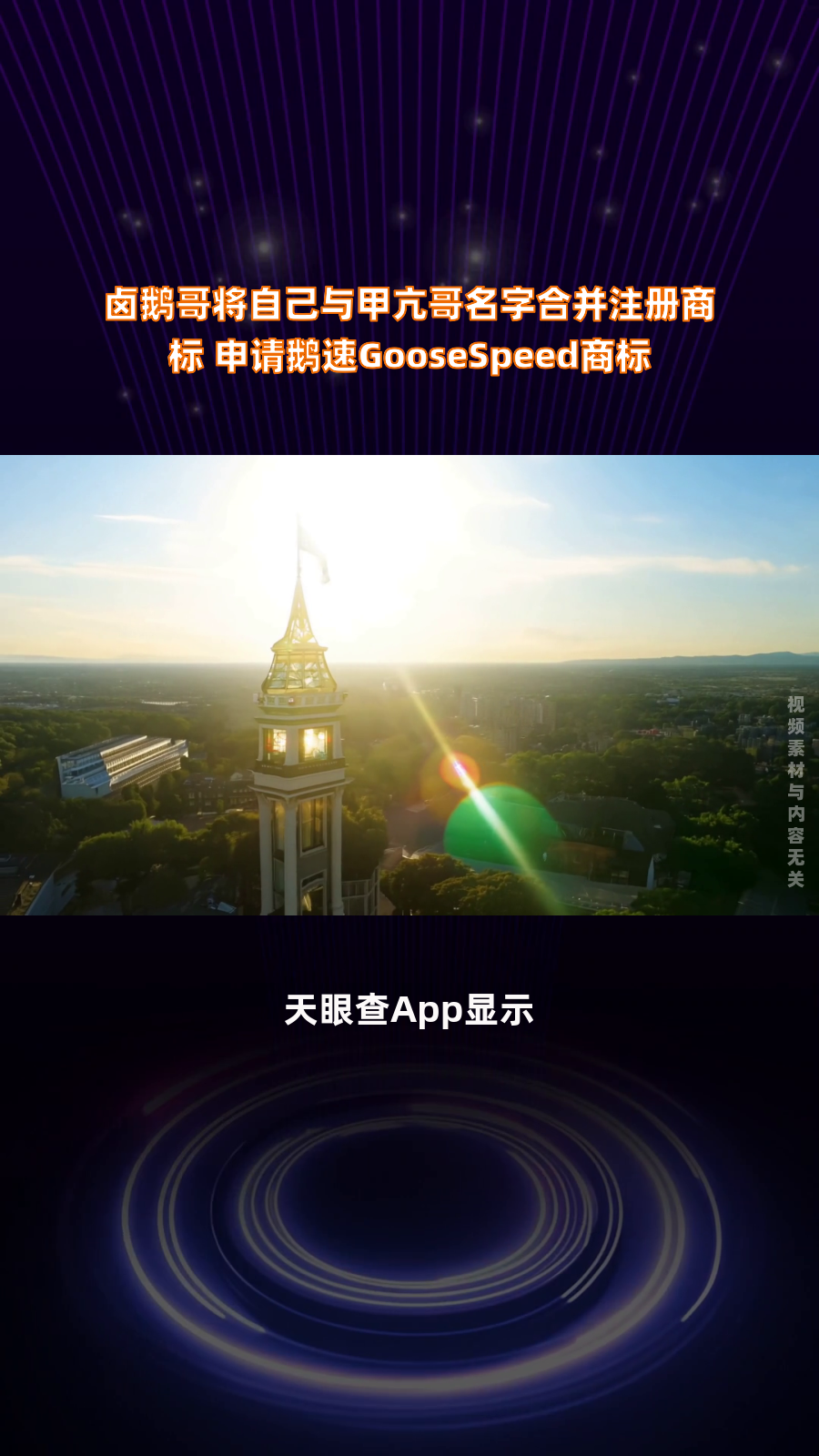 卤鹅哥将自己与甲亢哥名字合并注册商标 申请鹅速GooseSpeed商标|快报