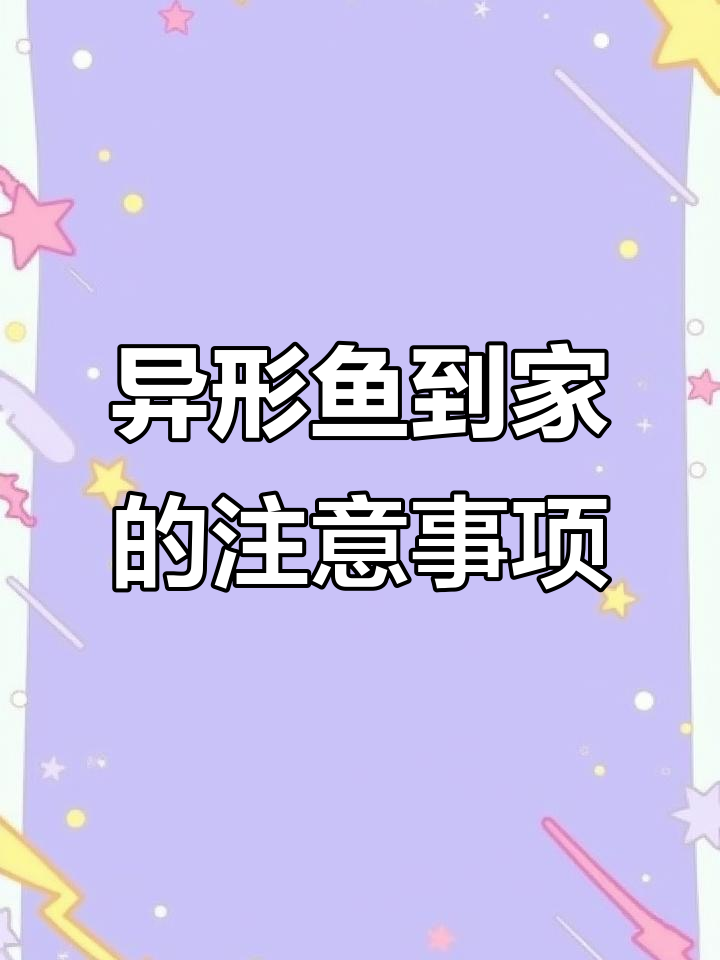 南美异形鱼到家如何应对?药物使用与健康检查全攻略