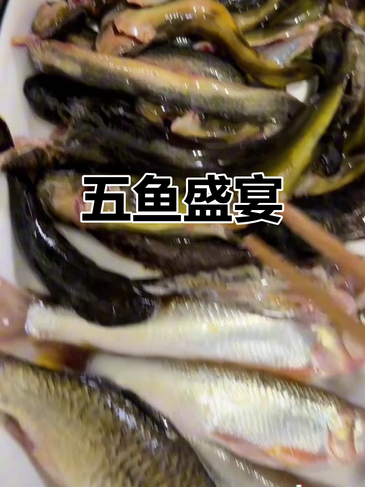 皖南渔民大显身手,五鱼一锅鲜,香气扑鼻!