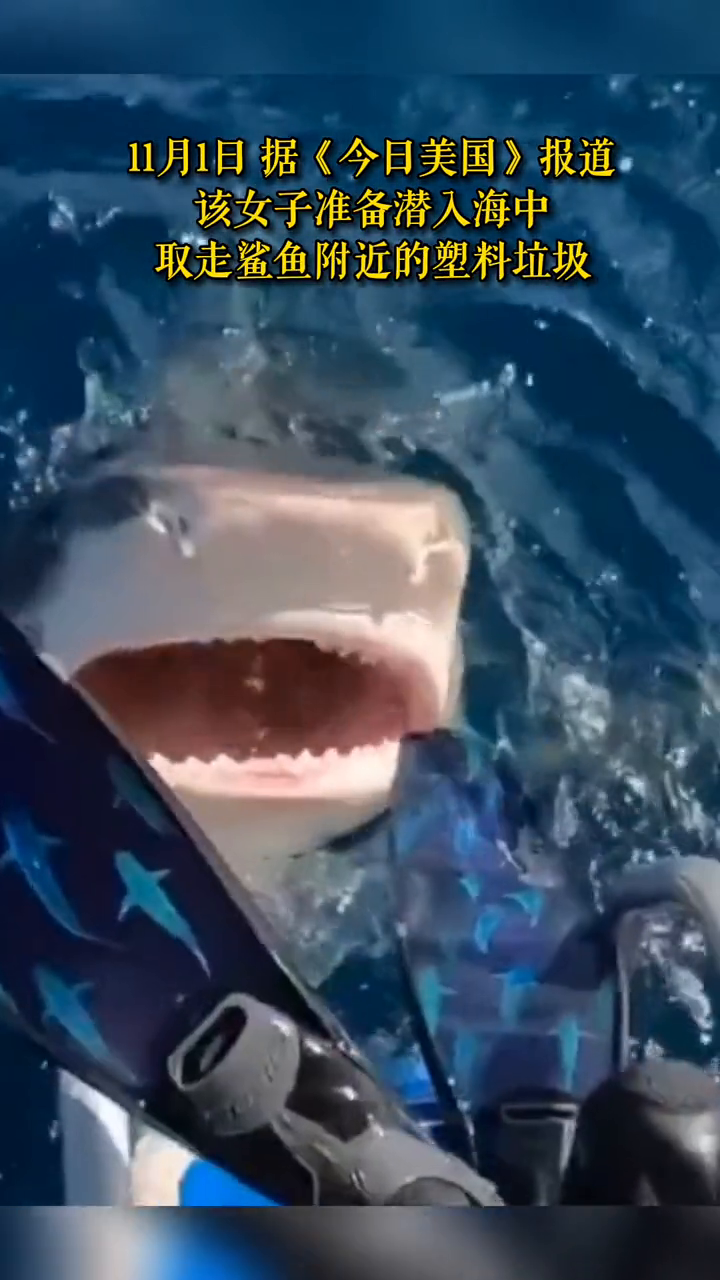 女子入水瞬间巨大鲨鱼张嘴浮出水面,险些咬到女子的脚