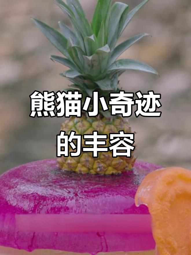 小奇迹的丰容大揭秘:创意水果拼盘、竹筒茶具和冰块蛋糕