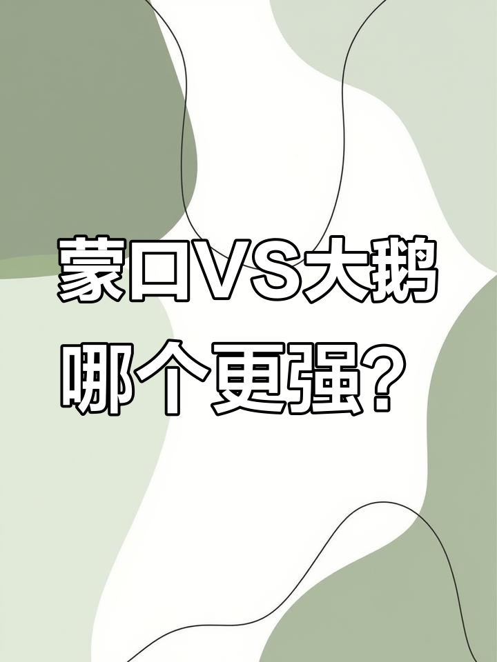 蒙口与大鹅羽绒服对比:谁才是真正的“一哥”?