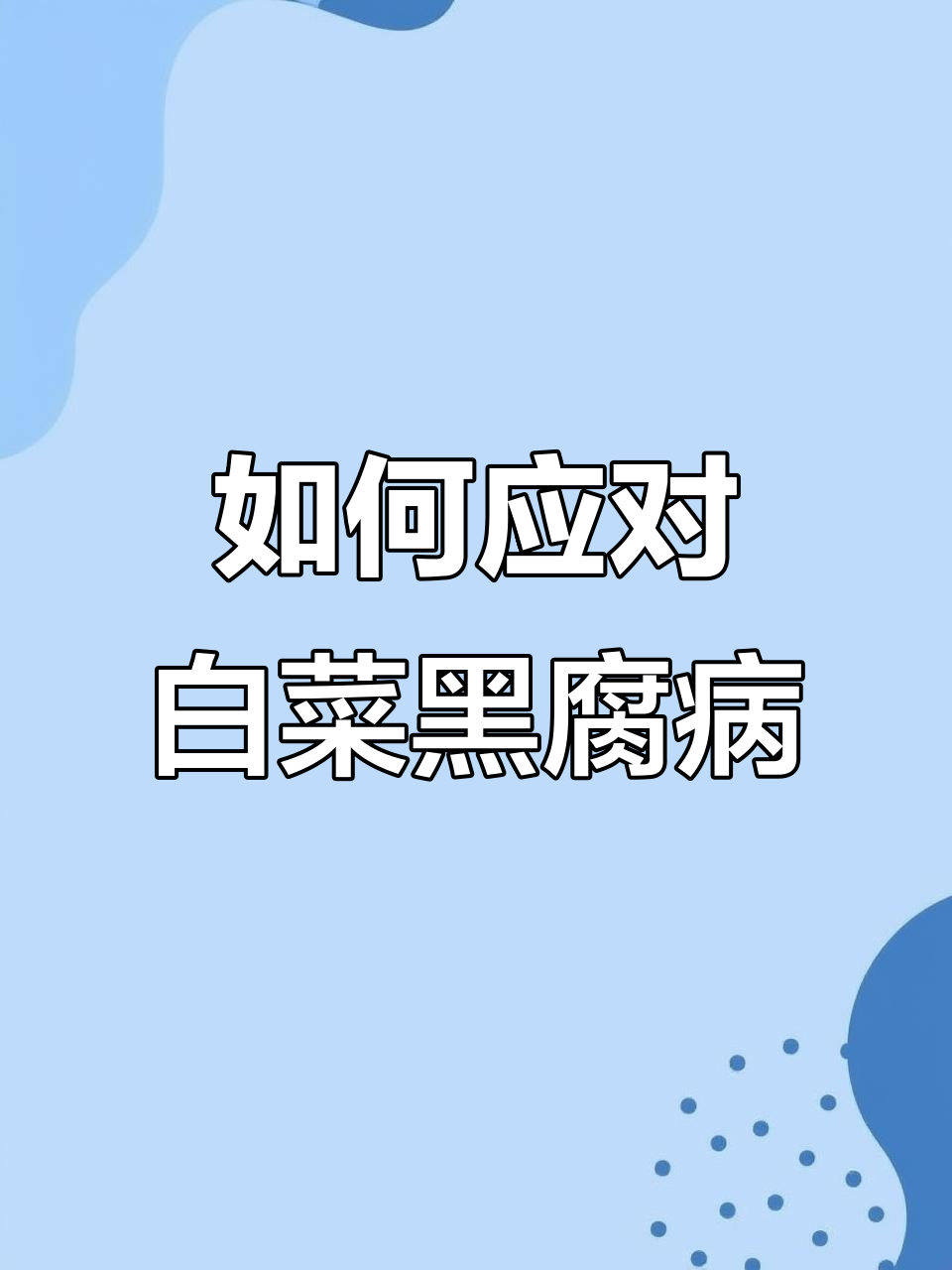 白菜黑腐病防治全攻略,夏季高湿环境必看