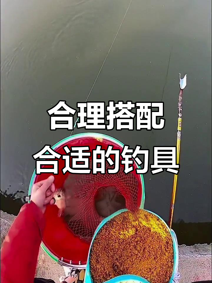 黑坑鲫鱼线组搭配技巧,如何选择合适的钩子与子线