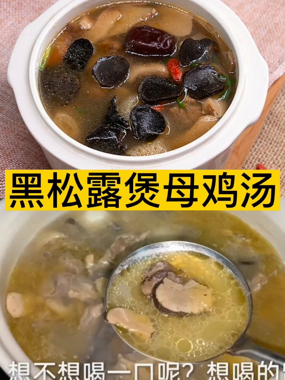 黑松露炖鸡汤,秋冬季大滋补汤!
