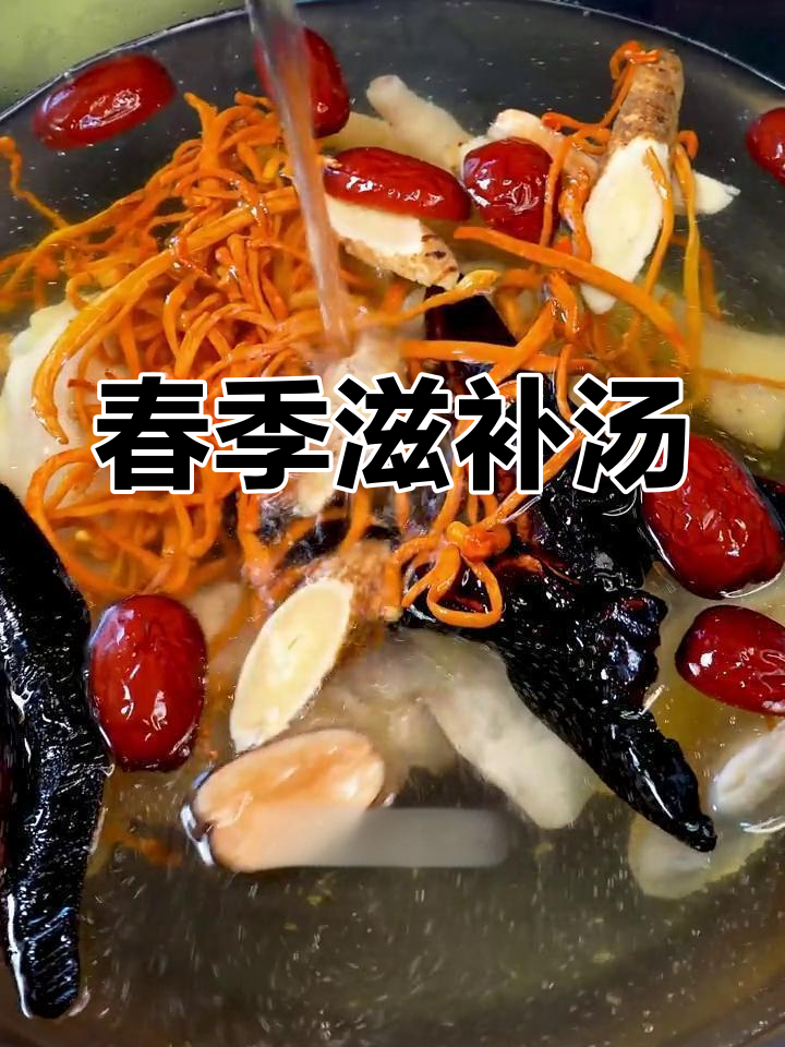 春季滋补汤,灵芝虫草炖鸡,适合全家共享