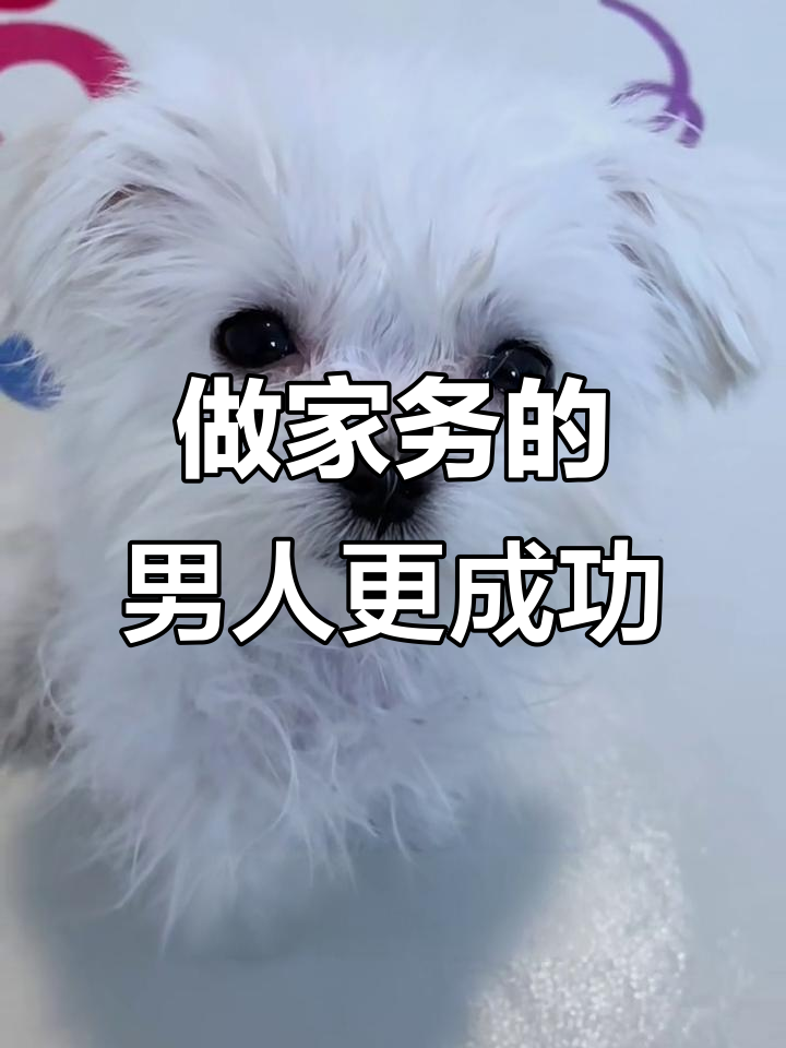 男人做家务才能成功,老婆的话才是金玉良言