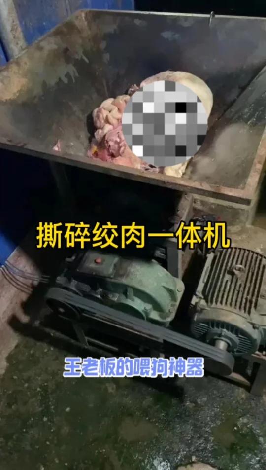 整猪撕碎绞肉一体机